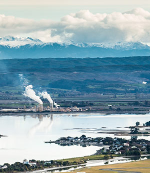 Waimea Estuary with Nelson Pine Factory