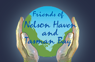 Friends of the Nelson Haven, Nelson NZ